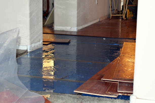 Professional Basement Water Removal technician working in Clinton, IN